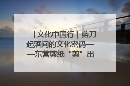 文化中国行｜剪刀起落间的文化密码——东营剪纸“剪”出非遗传承与现代生活的融合之道