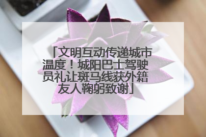 文明互动传递城市温度！城阳巴士驾驶员礼让斑马线获外籍友人鞠躬致谢