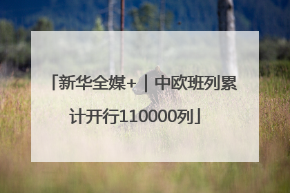 新华全媒+｜中欧班列累计开行110000列