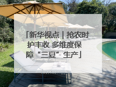 新华视点｜抢农时 护丰收 多维度保障“三夏”生产