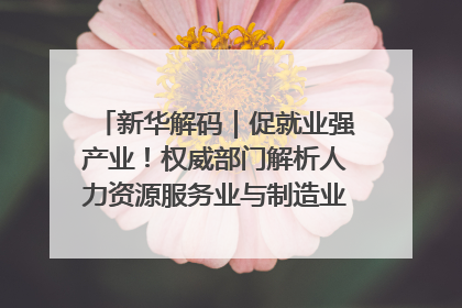 新华解码｜促就业强产业！权威部门解析人力资源服务业与制造业融合发展试点