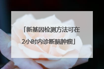 新基因检测方法可在2小时内诊断脑肿瘤