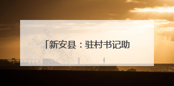 新安县：驻村书记助力“三夏”抢收抢种