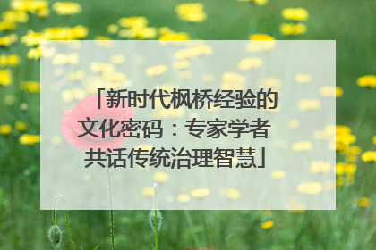 新时代枫桥经验的文化密码：专家学者共话传统治理智慧