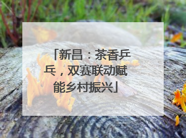 新昌：茶香乒乓，双赛联动赋能乡村振兴