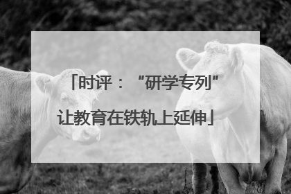 时评：“研学专列”让教育在铁轨上延伸