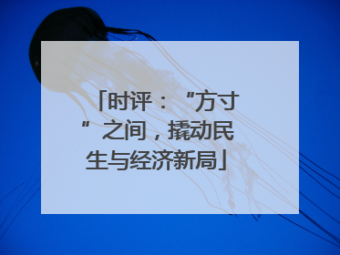 时评：“方寸”之间，撬动民生与经济新局