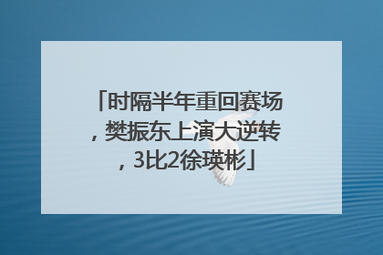 时隔半年重回赛场，樊振东上演大逆转，3比2徐瑛彬