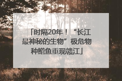 时隔20年！“长江最神秘的生物”极危物种鳤鱼重现赣江