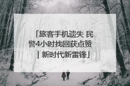 旅客手机遗失 民警4小时找回获点赞｜新时代新雷锋