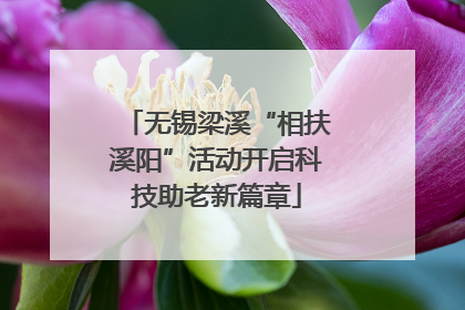 无锡梁溪“相扶溪阳”活动开启科技助老新篇章