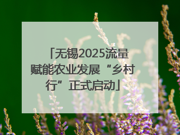 无锡2025流量赋能农业发展“乡村行”正式启动