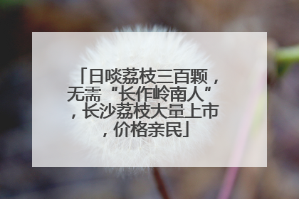 日啖荔枝三百颗，无需“长作岭南人”，长沙荔枝大量上市，价格亲民