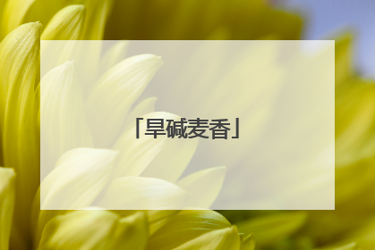 旱碱麦香