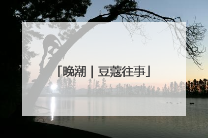晚潮｜豆蔻往事