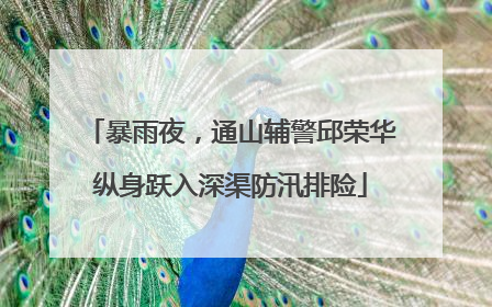 暴雨夜，通山辅警邱荣华纵身跃入深渠防汛排险