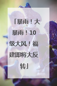 暴雨！大暴雨！10级大风！福建即将大反转