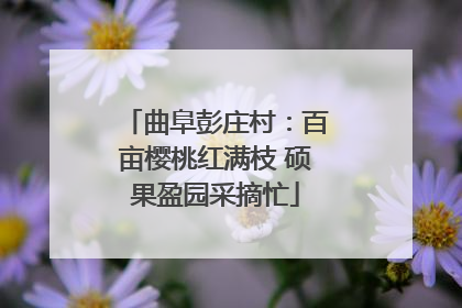 曲阜彭庄村：百亩樱桃红满枝 硕果盈园采摘忙