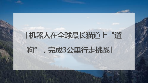 机器人在全球最长猫道上“遛狗”，完成3公里行走挑战