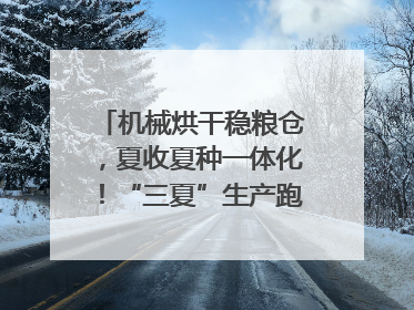机械烘干稳粮仓，夏收夏种一体化！“三夏”生产跑出加速度｜麦报