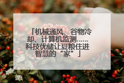 机械通风、谷物冷却、计算机监测……科技优储让夏粮住进智慧的“家”