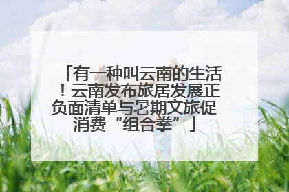 有一种叫云南的生活！云南发布旅居发展正负面清单与暑期文旅促消费“组合拳”