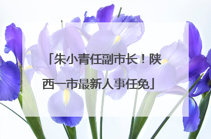 朱小青任副市长！陕西一市最新人事任免