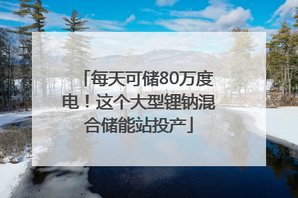 每天可储80万度电！这个大型锂钠混合储能站投产