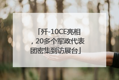 歼-10CE亮相，20多个军政代表团密集到访展台