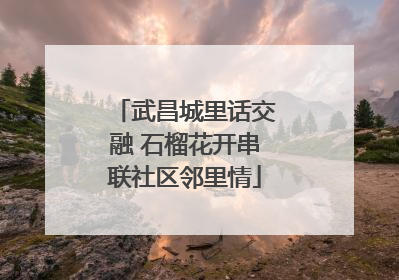武昌城里话交融 石榴花开串联社区邻里情