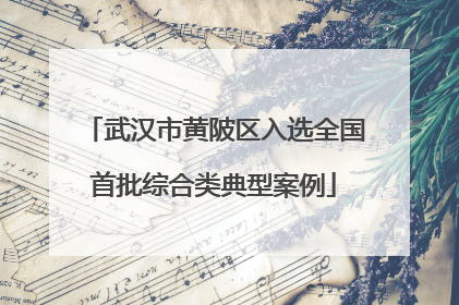 武汉市黄陂区入选全国首批综合类典型案例