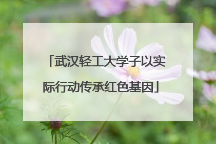 武汉轻工大学子以实际行动传承红色基因