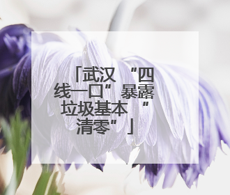 武汉 “四线一口”暴露垃圾基本 “清零”