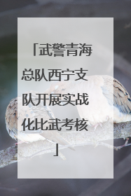 武警青海总队西宁支队开展实战化比武考核
