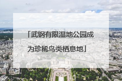武钢有限湿地公园成为珍稀鸟类栖息地