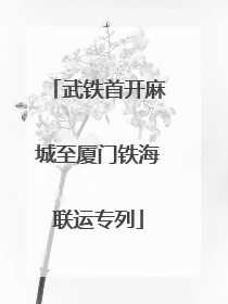 武铁首开麻城至厦门铁海联运专列