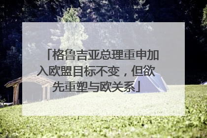 格鲁吉亚总理重申加入欧盟目标不变，但欲先重塑与欧关系