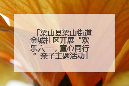 梁山县梁山街道金城社区开展“欢乐六一，童心同行”亲子主题活动