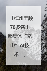 梅州丰顺70多名干部集体“充电”AI技术！