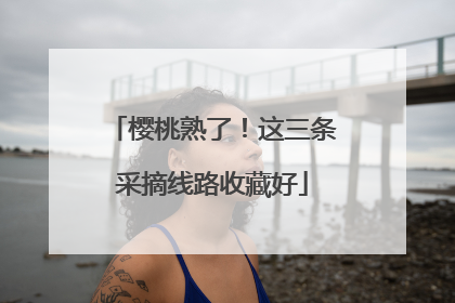 樱桃熟了！这三条采摘线路收藏好