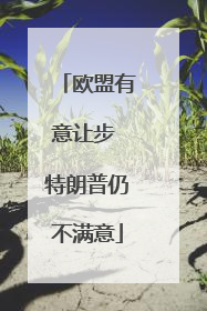 欧盟有意让步 特朗普仍不满意
