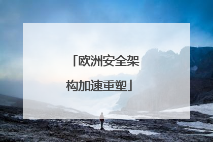 欧洲安全架构加速重塑