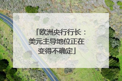 欧洲央行行长：美元主导地位正在变得不确定