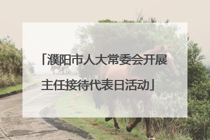 濮阳市人大常委会开展主任接待代表日活动