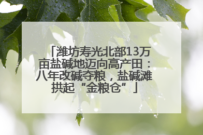 潍坊寿光北部13万亩盐碱地迈向高产田：八年改碱夺粮，盐碱滩拱起“金粮仓”