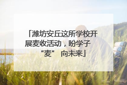 潍坊安丘这所学校开展麦收活动，盼学子 “麦” 向未来