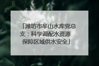 潍坊市牟山水库党总支：科学调配水资源 保障区域供水安全