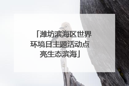 潍坊滨海区世界环境日主题活动点亮生态滨海