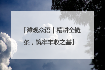 潍观众语｜精耕全链条，筑牢丰收之基
