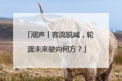 潮声丨客流锐减，轮渡未来驶向何方？